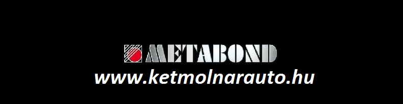 Metabond Megasel